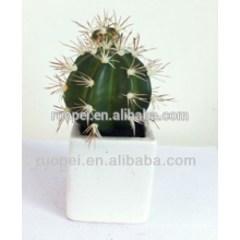 High quality potted artificial mini cactus plant decoration indoor for house